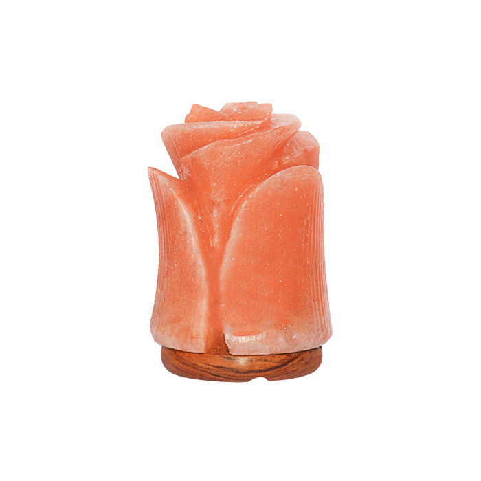 Himalayan Salt Lamp Flower Shape (Salt Lamps)