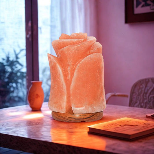 Himalayan Salt Lamp Flower Shape (Salt Lamps)