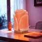 Himalayan Salt Lamp Flower Shape (Salt Lamps)