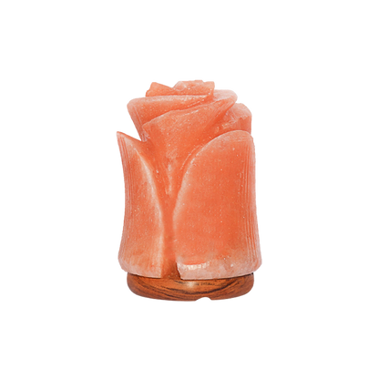 Himalayan Salt Lamp Flower Shape (Salt Lamps)