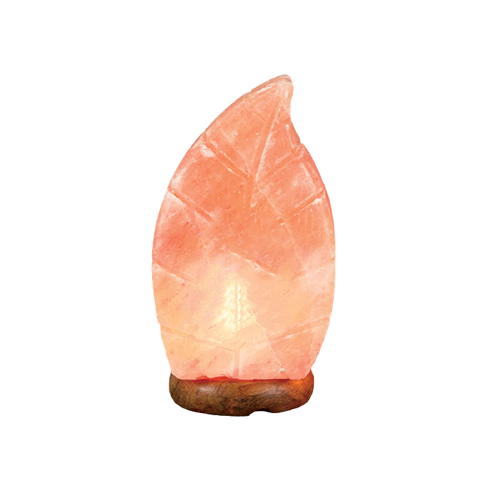 Himalayan Salt Lamp – Pink Leaf (Salt Lamps)