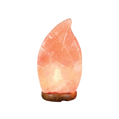 Himalayan Salt Lamp – Pink Leaf (Salt Lamps)